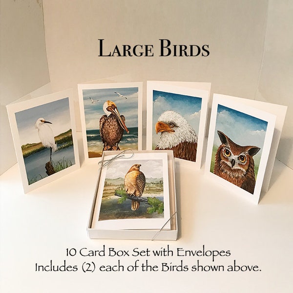 Bird Box Card Set with Envelopes, Bundle, Greeting Cards, Bundle Cards, Bird Prints, Bird Cards, Eagles, Hawks Prints, Owls, Egret, Pelican.