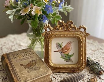 Framed Carolina Wren Art Print: Bird Painting, Vintage Frame