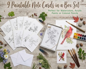Paintable Birds Greeting Cards Box Set: 9 assorted illustrated prints