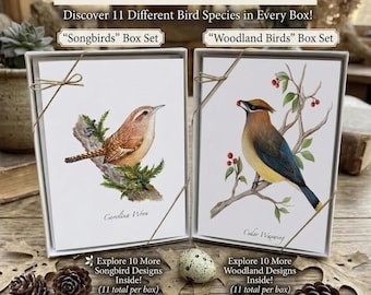 Birds of North America Stationery Collection: 22 different species, Box Set of 9