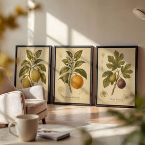 Botanical Framed Print, Vintage Fruit Wall Art, Kitchen Decor, Housewarming Gift