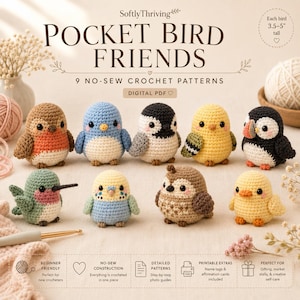 Puede incluir: Un conjunto de patrones PDF digitales titulado Pocket Bird Friends que presenta 9 diseños de ganchillo sin costuras. La imagen muestra nueve pájaros pequeños y coloridos tejidos a ganchillo de varias especies, de 8,9 a 12,7 cm de alto.
