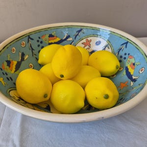 Pode incluir: Uma tigela de cerâmica redonda com interior azul-claro apresentando motivos pintados à mão de peixes e estrelas-do-mar coloridos, cheia com um grupo de limões amarelo-brilhante. A tigela tem uma borda branca espessa e acabamento brilhante.