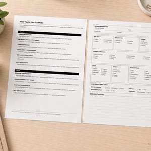 May include: Two white paper sheets featuring a clinical session journal template with black text. The left sheet provides instructions, while the right sheet contains checkboxes and fields for session information, age group, mood, and safety notes.