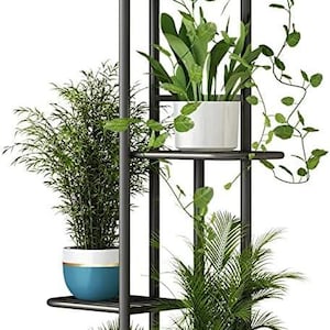 May include: A tall, dark gray metal plant stand with five tiered shelves. The stand holds five potted plants, including a trailing vine, a leafy green plant, a tall grassy plant, a small palm, and a fern, in various blue, white, and tan pots.