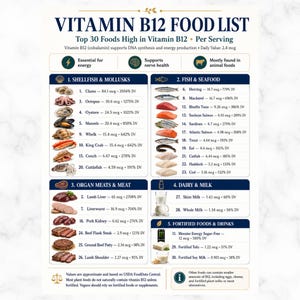以下が含まれることがあります： 「Vitamin B12 Food List」と題された白い情報チャート。甲殻類、魚介類、内臓肉、乳製品、強化食品に分類された30種類の食品が掲載されています。各項目にはアイコン、食品名、mcgおよびDV単位でのビタミンB12含有量が記載されています。