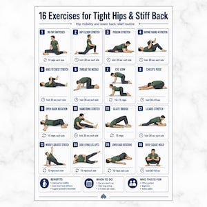 May include: A white instructional poster titled 16 Exercises for Tight Hips & Stiff Back, featuring sixteen numbered illustrations of a person in a green shirt and dark pants performing various stretches with text instructions for each movement.