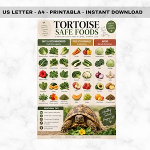 May include: A printable educational chart titled TORTOISE SAFE FOODS featuring categorised illustrations of vegetables, fruits, and herbs. The guide includes sections for recommended, occasional, and avoid foods, plus care tips and a tortoise image.