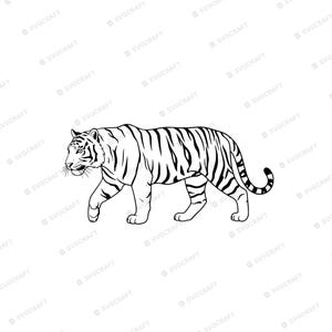 Tiger SVG PNG Clipart, Walking Tiger Line Art, Safari Animal Cut File for Cricut, Jungle Cat Sublimation Design, Vinyl Decal