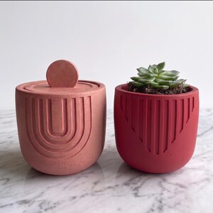 May include: A light pink lidded container with a circular handle and a rainbow-shaped embossed pattern, paired with a dark red cylindrical planter featuring vertical embossed lines and containing a small green succulent plant.
