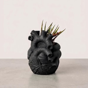 May include: A matte black anatomical heart-shaped planter featuring realistic vascular details and textured surfaces. A small green succulent with pointed, variegated leaves is planted inside the top opening of the vessel.