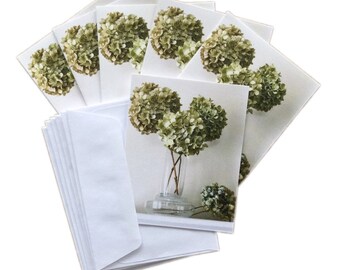 note cards - set of 6