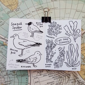 Mini Scavenger Hunt Printable Booklets Bundle Nature Trail Colour-in Activities for Kids 4 Walks: Forest, Woodland, Seaside and City image 3