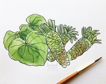 Original Painting - Japanese Wasabi - Drawing Japan 100 Day Project Illustration Artwork