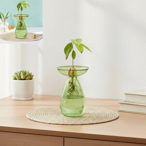 May include: A light green glass vase with a wide, flared rim and a tapered base, containing water and an avocado pit with visible roots and a small green sprout. The vase sits on a round, woven, light-colored straw placemat on a wooden surface.