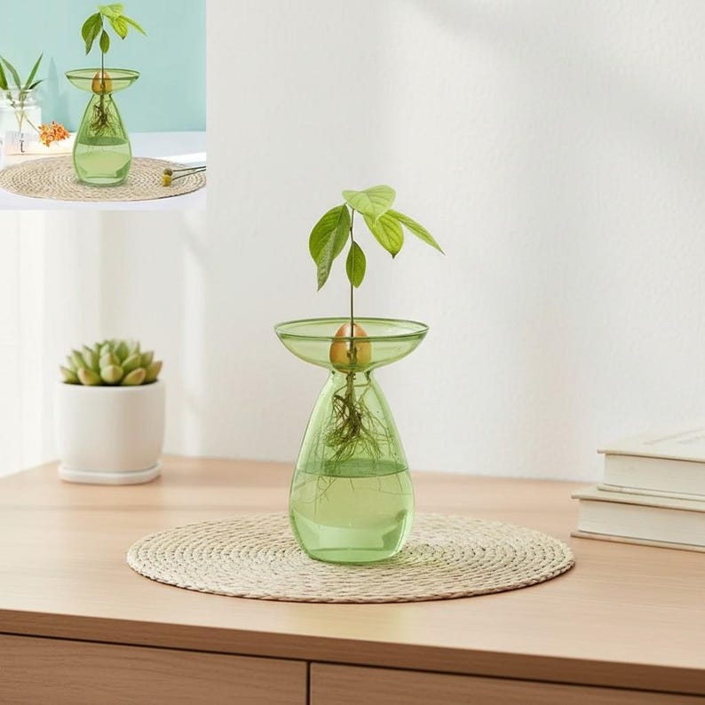 May include: A light green glass vase with a wide, flared rim and a tapered base, containing water and an avocado pit with visible roots and a small green sprout. The vase sits on a round, woven, light-colored straw placemat on a wooden surface.