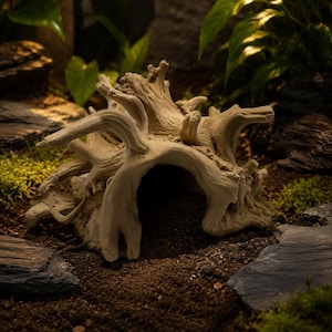 May include: A light beige, textured driftwood-style hideout for small animals, featuring a hollow, arched tunnel entrance and multiple branching, root-like protrusions extending from the top and sides, crafted with a realistic, weathered appearance.