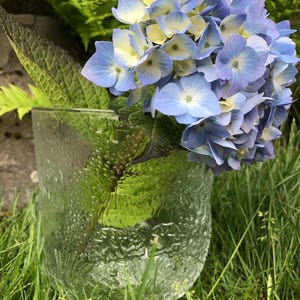 Wonderful Nuutajarvi Oiva Toikka design for Iittala Fauna glass dessert/salad - tall serving bowl-Finland