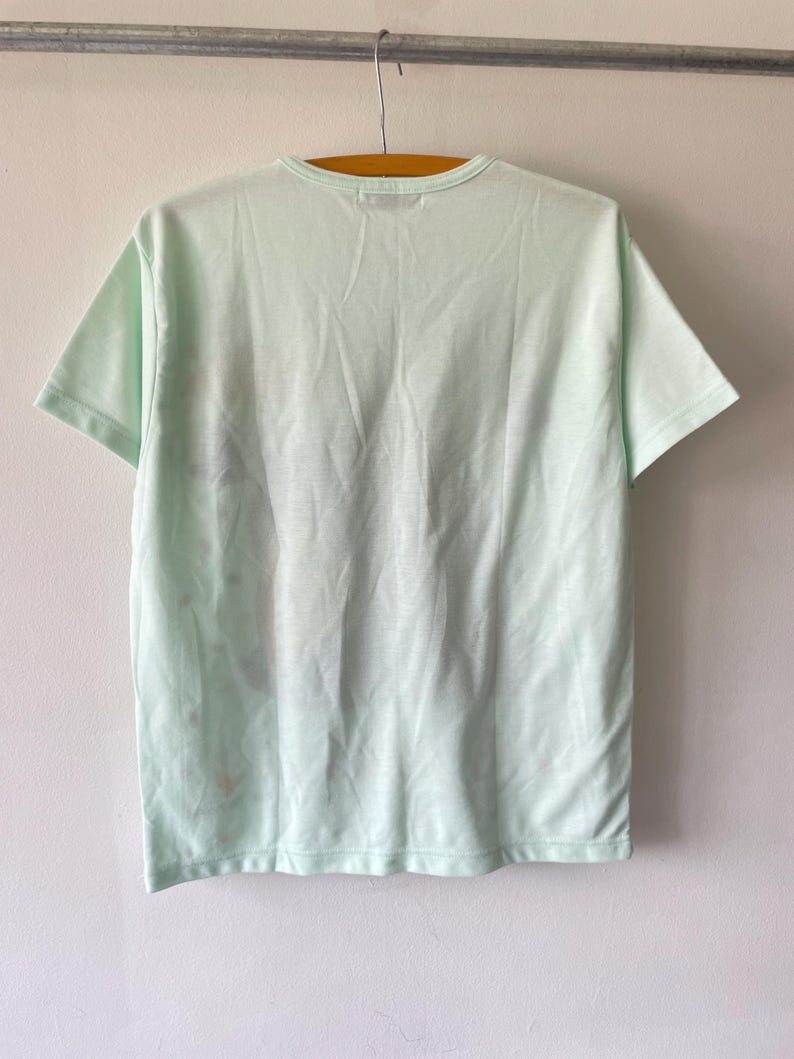May include: A short-sleeved t-shirt in a pale mint green color. The garment features a crew neckline and is displayed hanging from a wooden hanger. The fabric has a smooth texture with subtle, faint reddish-brown markings visible on the left side.