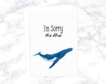 May include: A white card with black text that reads "I'm Sorry this blows" and a blue whale illustration.