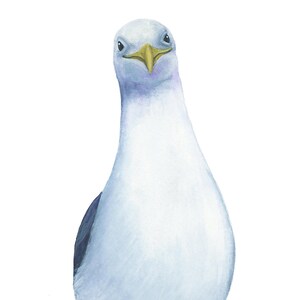 Pode incluir: Uma pintura em aquarela de uma gaivota com um corpo branco, asas pretas e um bico amarelo. A gaivota est&aacute; olhando diretamente para o espectador.