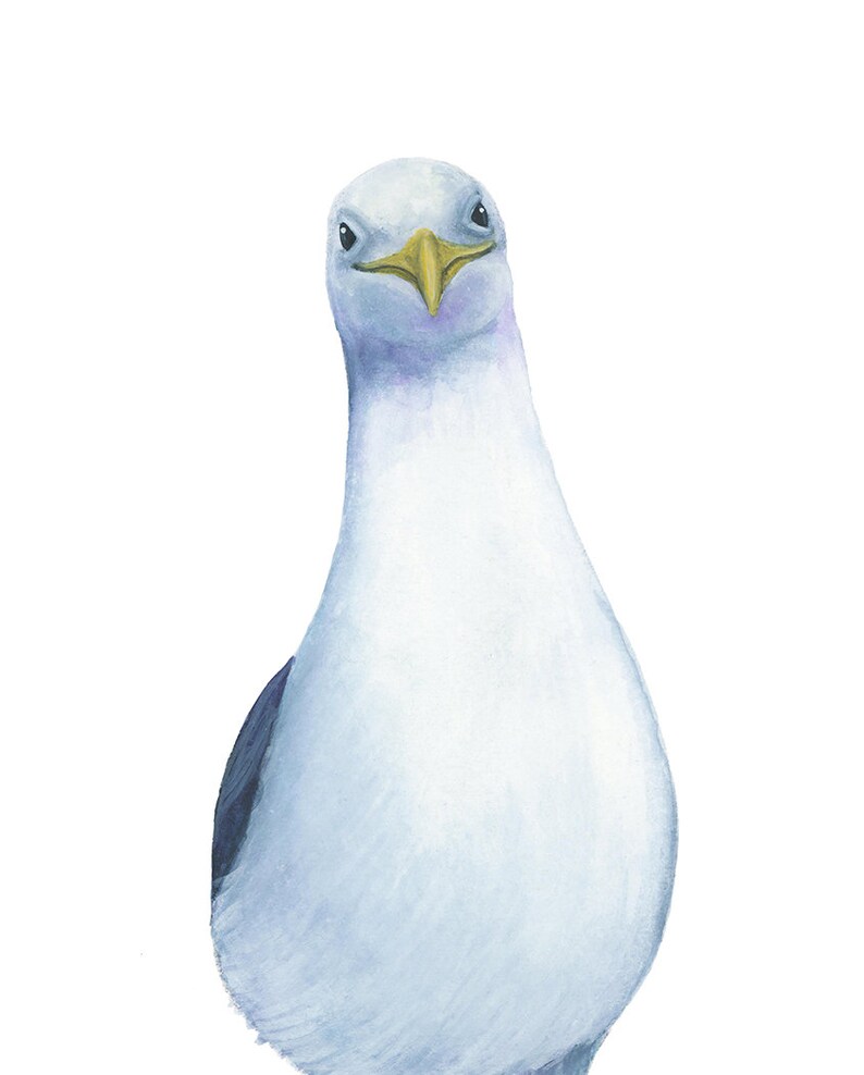 Pode incluir: Uma pintura em aquarela de uma gaivota com um corpo branco, asas pretas e um bico amarelo. A gaivota est&aacute; olhando diretamente para o espectador.