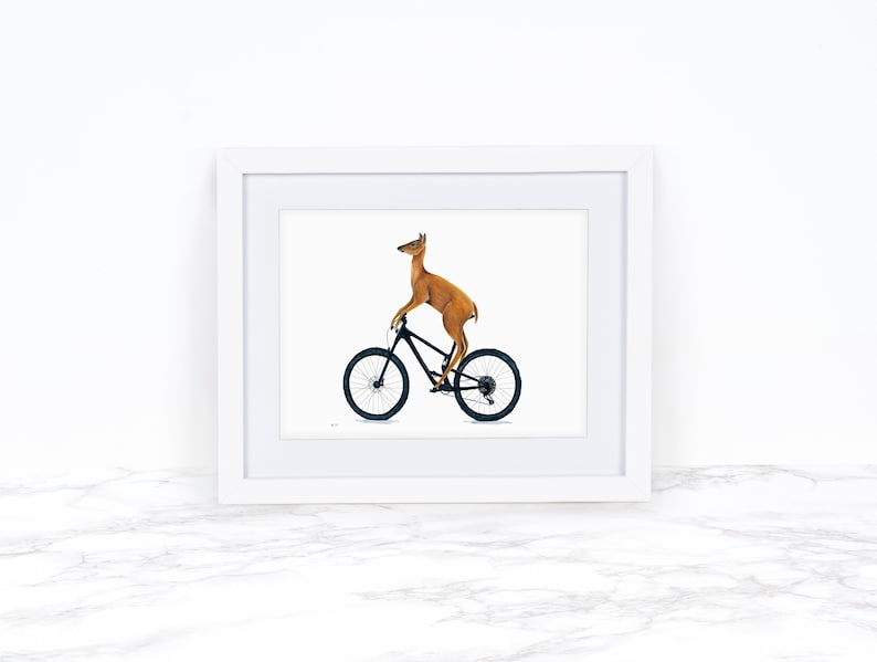 May include: A framed illustration of a brown deer riding a black mountain bike on a white background.
