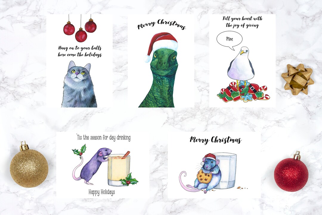 Funny Christmas Card Cat Christmas Cards Christmas Card Set Holiday ...