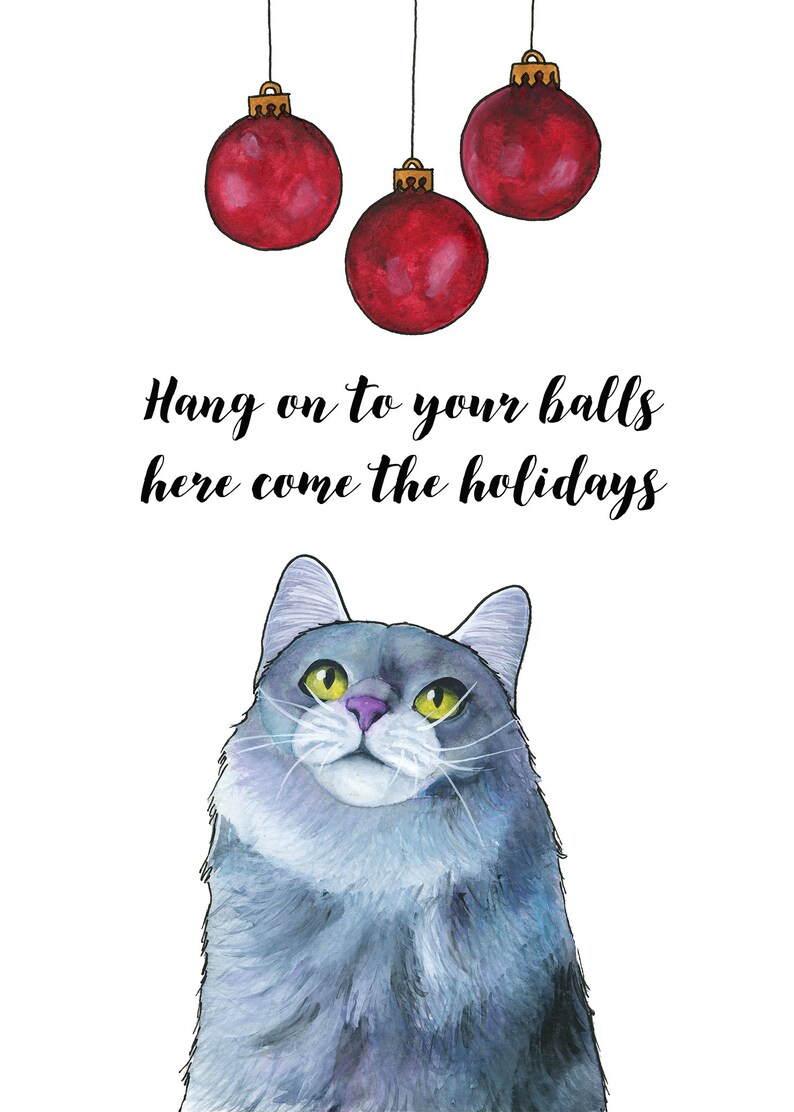 Funny Christmas Card Cat Christmas Cards Christmas Card Set Holiday ...