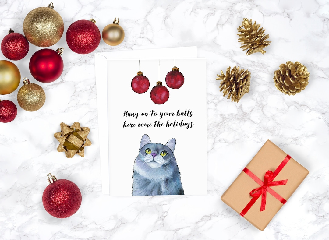Funny Christmas Card Cat Christmas Cards Christmas Card Set Holiday ...