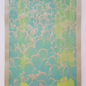 Cactus che brilla al buio! Opuntia Microdasys