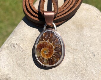 Collier d'ammonites
