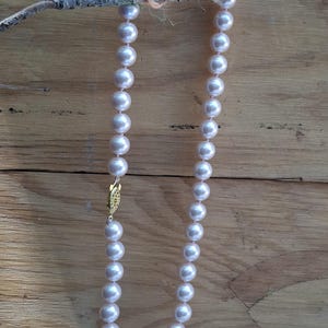 May include: A single strand necklace featuring uniform, round, pale pink pearls with a lustrous finish. The necklace is secured with a decorative, oval-shaped gold-tone metal clasp that features intricate engraved detailing on its surface.