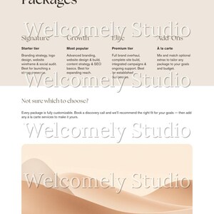 Paquete completo para clientes, plantillas de Canva para coaches y proveedores de servicios, paquete de bienvenida, guía de precios, propuesta. imagen 7