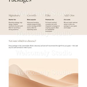 Services and Pricing Guide Template, Canva Price List for Coaches & Service Providers, Editable Client Onboarding Welcome Packet, Proposal image 3