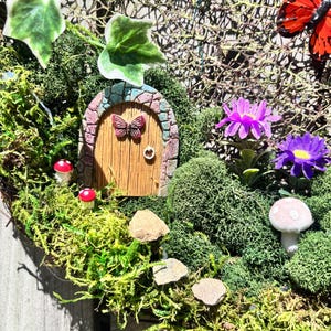 May include: A miniature fairy garden display featuring a wooden arched door with a butterfly accent, surrounded by green moss, small red and white mushrooms, purple flowers, and a large orange butterfly figure attached to the side.