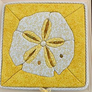 8x8 Kinusaiga Sand Dollar Fabric Art