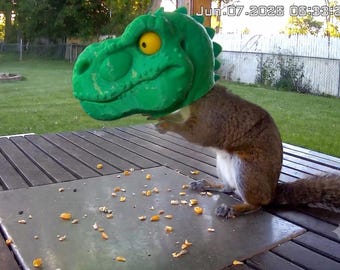 Squirrelysaurus Rex: Dinosaur Squirrel Feeder