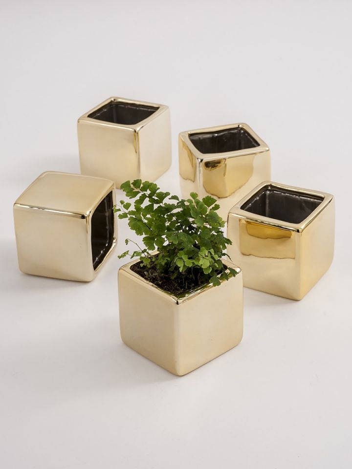 5 Mini Wedding Flower Pots Party Favor Planter Small Wedding Etsy