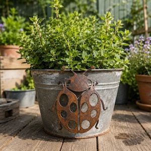 Decorazione da giardino a forma di coccinella in metallo arrugginito, statua di insetto in acciaio perforato, elemento decorativo in ferro per patio.