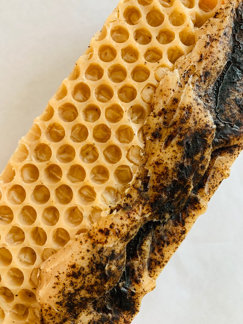 Cinnamon Clove and Honey Organic Coconut Milk Handmade Soap Etsy