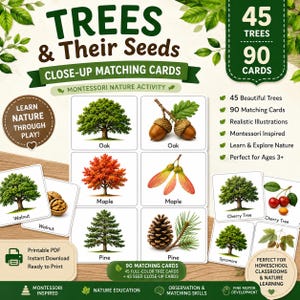 Peut inclure: Un ensemble de 90 cartes éducatives intitulées Trees & Their Seeds, présentant des illustrations réalistes de 45 arbres et de leurs graines. Les cartes montrent diverses espèces, notamment le chêne, l'érable, le noyer, le pin, le cerisier et le platane.