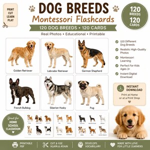 Può includere: Un set di 120 flashcard Montessori stampabili sulle razze canine con foto reali. Le carte includono immagini di Golden Retriever, Labrador, Pastore Tedesco, Bulldog Francese, Husky Siberiano e Carlino con le relative etichette di testo.