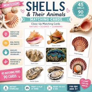 May include: A set of 90 matching cards titled SHELLS & Their Animals, featuring 45 pairs of high-quality photographs of marine life including Queen Conch, Giant Clam, Pacific Oyster, and Great Scallop shells, designed for nature and science learning.