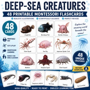 Może przedstawiać: Zestaw 48 kart edukacyjnych Montessori do druku zatytułowanych DEEP-SEA CREATURES, zawierający realistyczne ilustracje zwierząt morskich, takich jak żabnica, ośmiornica dumbo, kałamarnica olbrzymia, ryba blobfish i strzykwa z nazwami.