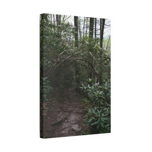 Lienzo impreso del Sendero de los Rododendros / Obra de arte del Sendero del Bosque de las Montañas Humeantes