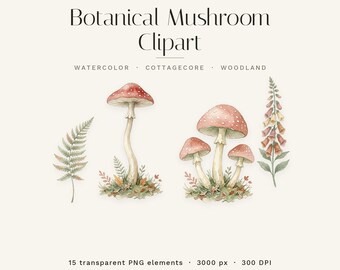Botanical Mushroom Clipart Bundle | 15 Watercolor Cottagecore PNG | Transparent Woodland Fungi & Forest Botanicals | Commercial Use
