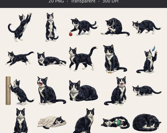 Realistic Tuxedo Cat Clipart Bundle, 20 PNG Black & White Cat, Transparent Background, Commercial Use, Kitten Illustration, Digital Download