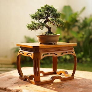 May include: A small green juniper bonsai tree with a textured brown trunk, planted in a shallow, oval-shaped matte brown ceramic pot. The bonsai rests on a rectangular wooden display stand featuring curved legs and open-work carved detailing.