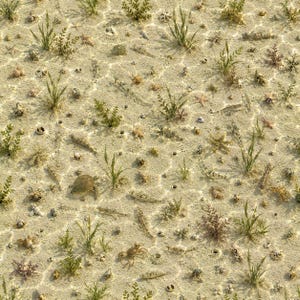 May include: A repeating pattern featuring a sandy seabed with light ripples, small green aquatic plants, various seashells, starfish, small crabs, and several fish swimming across the textured, light beige and tan ocean floor surface.